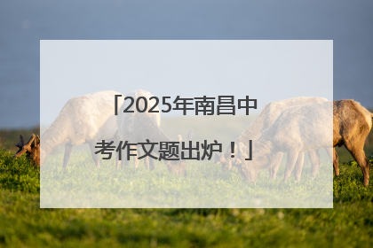 2025年南昌中考作文题出炉！