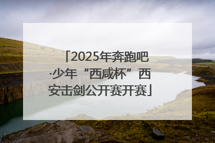2025年奔跑吧·少年“西咸杯”西安击剑公开赛开赛