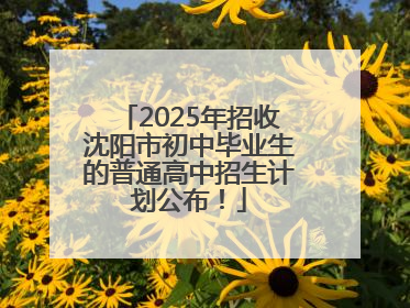 2025年招收沈阳市初中毕业生的普通高中招生计划公布！