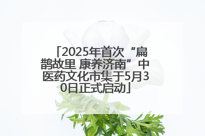 2025年首次“扁鹊故里 康养济南”中医药文化市集于5月30日正式启动