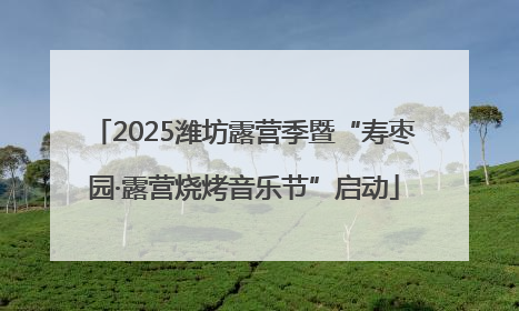 2025潍坊露营季暨“寿枣园·露营烧烤音乐节”启动