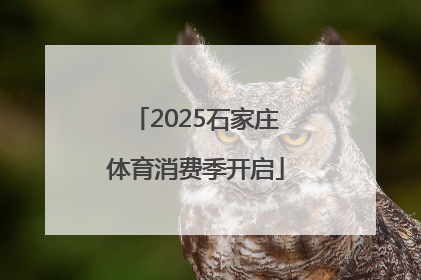 2025石家庄体育消费季开启