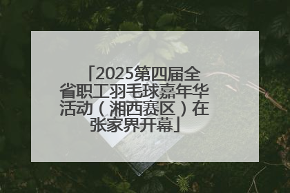 2025第四届全省职工羽毛球嘉年华活动（湘西赛区）在张家界开幕