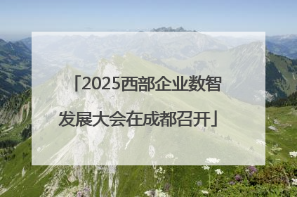 2025西部企业数智发展大会在成都召开