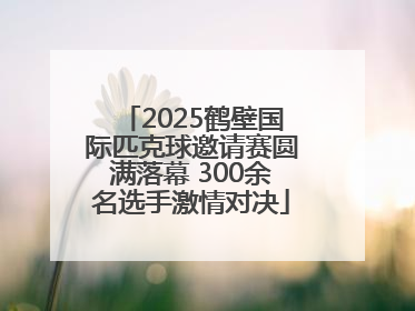 2025鹤壁国际匹克球邀请赛圆满落幕 300余名选手激情对决
