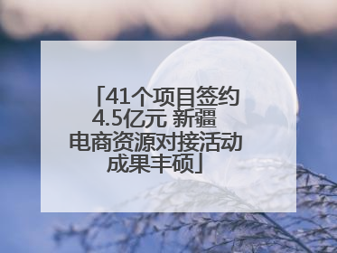 41个项目签约4.5亿元 新疆电商资源对接活动成果丰硕