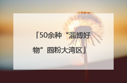 50余种“淄博好物”圈粉大湾区
