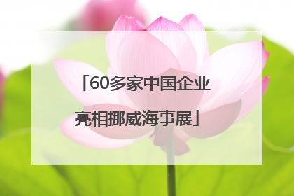 60多家中国企业亮相挪威海事展