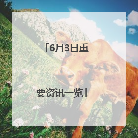 6月3日重要资讯一览
