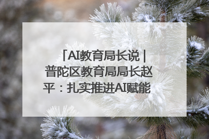 AI教育局长说 | 普陀区教育局局长赵平：扎实推进AI赋能教育，着力打造“适合教育”新体系