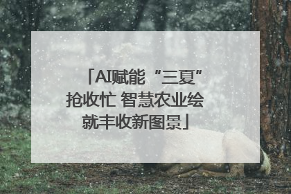 AI赋能“三夏”抢收忙 智慧农业绘就丰收新图景